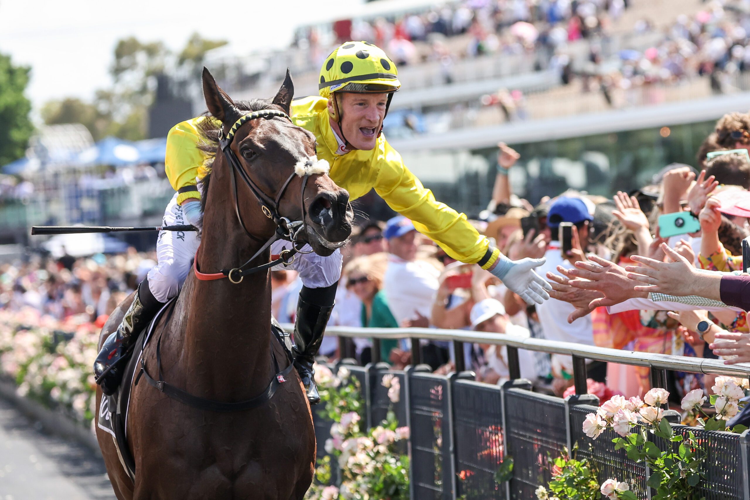 Horse Racingevents