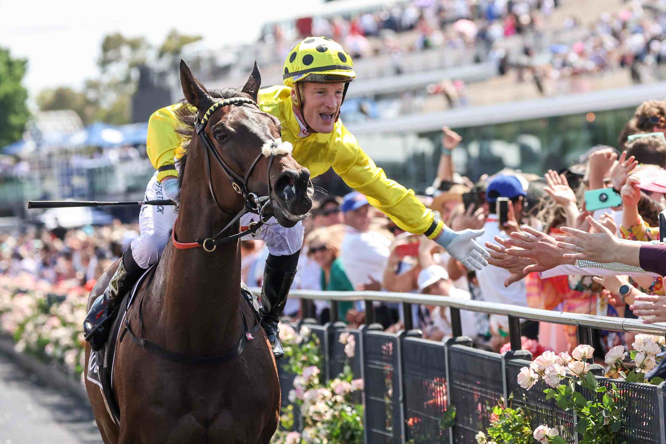 Horse Racing Events and Tour Packagesevents